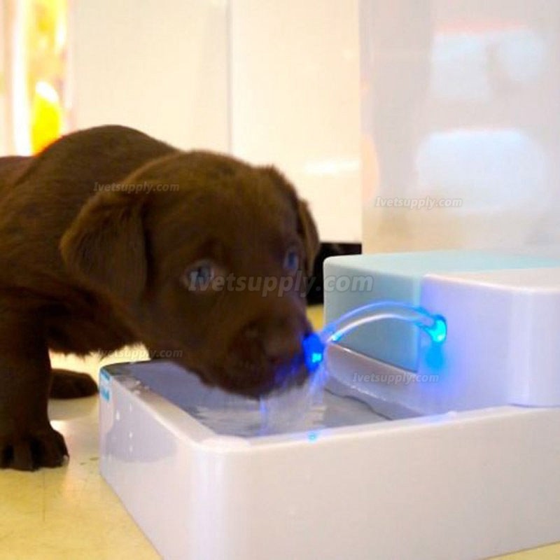 1.8L Pet Water Fountain For Cat Dog Automatic LED Water Drinking Bowl Dispenser